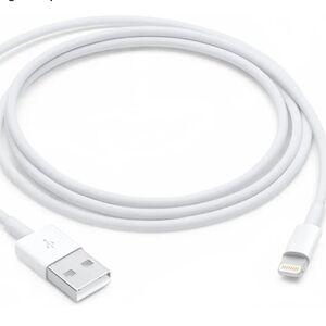 Apple Lightning to USB Cable